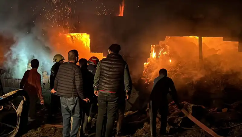 Bolu'da Yangın Korkusu: Ahırda Yaşanan Felaketin Ayrıntıları
