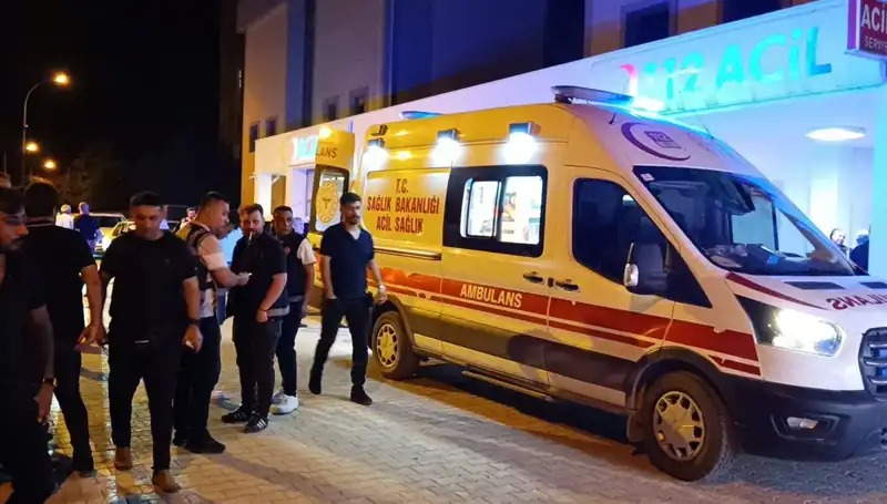 Kardeş Kavgası Feci Sonuçlandı: Hayatını Kaybetti
