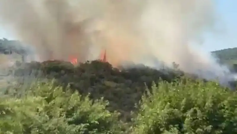 İstanbul'da Orman Yangını: Vatandaşlar Tahliye Edildi, Panik Hüküm Sürdü