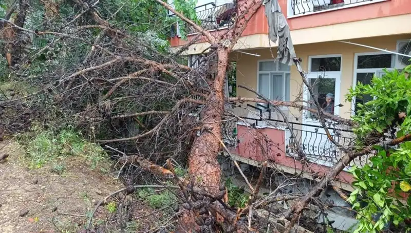 Yağmura Dayanamadı: Bina İki Yüksekliğiyle Neden Yıkıldı?