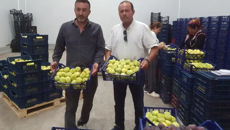 Mersinli Çiftçilerin Yüzü Güldü: Tarımda Yeni Dönem Başladı