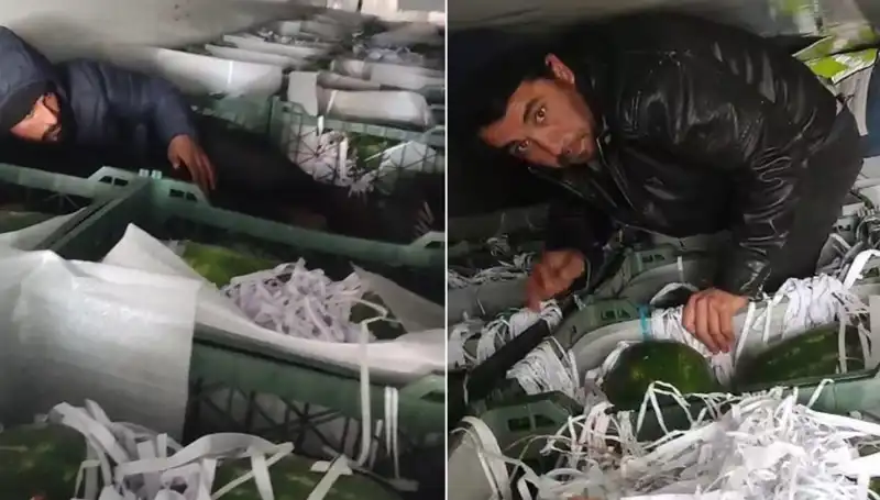 Karpuz Yükü İçindeki Göçmenler: Tarihi Bir Olayın Ardındaki Gerçekler