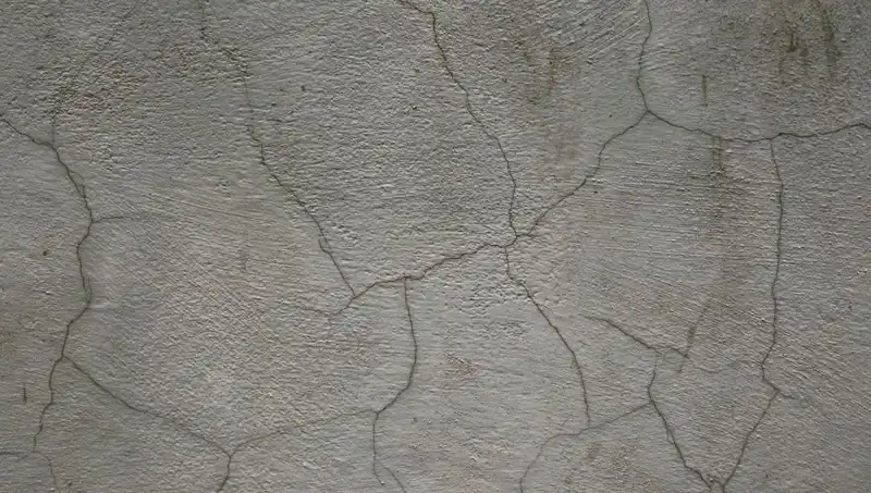 Canlı Beton ile Yapılar Artık Kendini Onarıyor: Geleceğin İnşaat Mühendisliği