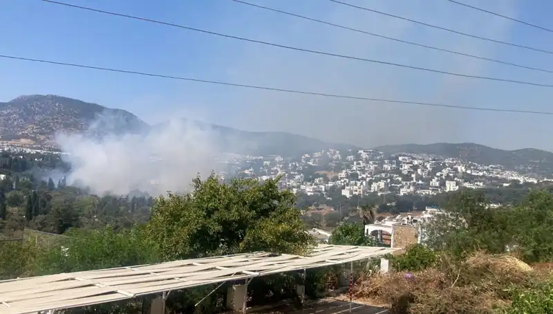 Muğla'daki Orman Yangınları Kontrol Altına Alındı, Endişeler Giderildi