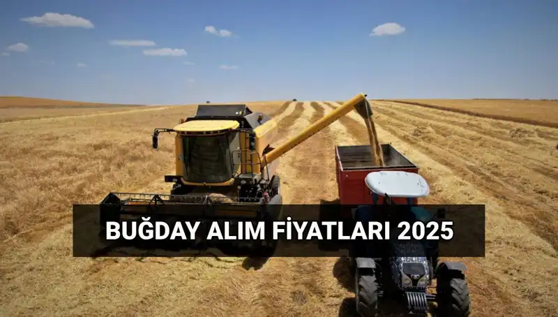 Hububat Alım Ücretleri Neden Gecikti? 2025 Fiyatları Belli Oldu!