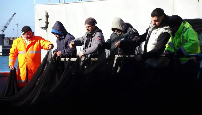 Hamsi Avında Beklenmedik Kriz! Tekneler Neden Erken Paydos Etti?