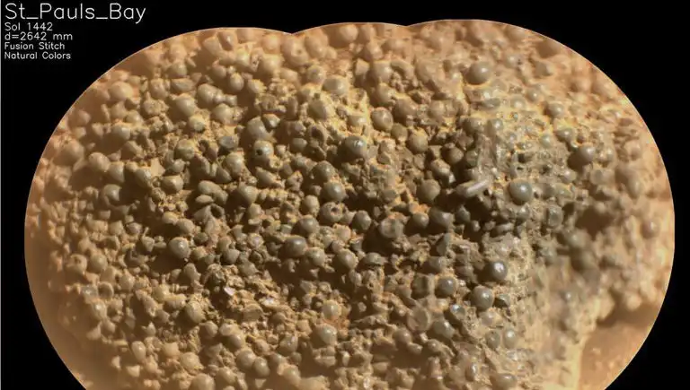 Mars'ta Keşfedilen Gizemli Doku: Örümcek Yumurtaları mı?