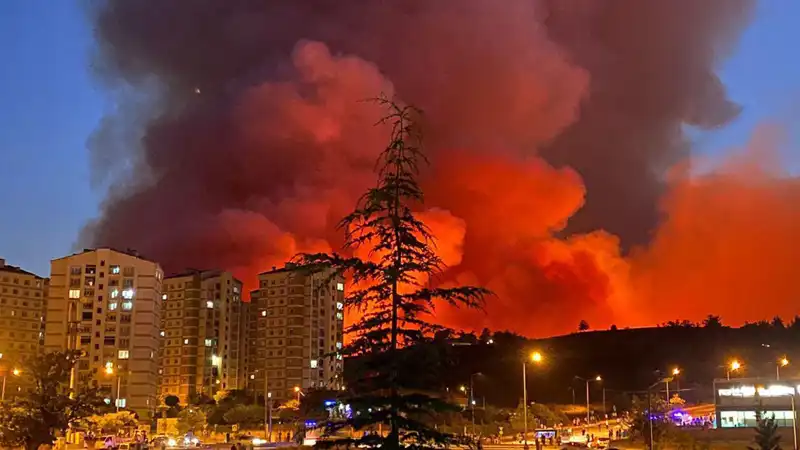 Bursalılar Dikkat! Şehri Saran Yangınlar Hakkında Bilmeniz Gerekenler