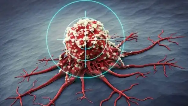 Prostat Kanseriyle Mücadelede Etkili 6 Besin: Bilimsel Destekle Kanıtlandı!