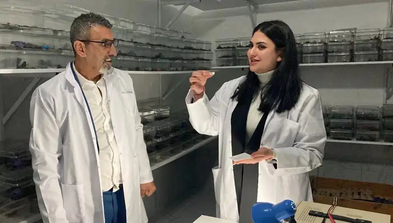 Akrep Zehiri ile Şekerin Büyüleyici Buluşması: Neyin Peşindeyiz?