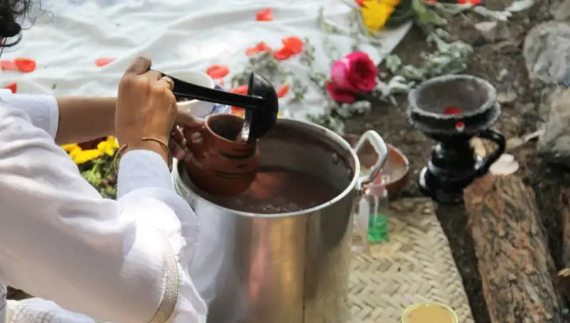 Ayahuasca: Gizemli Bitki Çayı ve Yasal Durumu