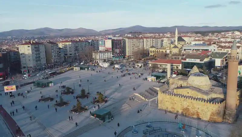 Kırşehir’de Keşfedilen Yeni Böcek Türü Bilim Dünyasını Kandırıyor!