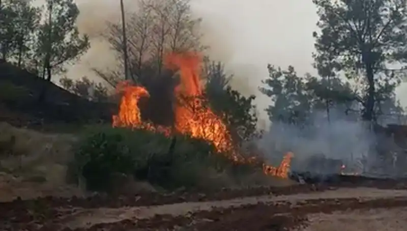 Denizli'de Yangın Felaketi: 7 Hektar Orman Yok Oldu