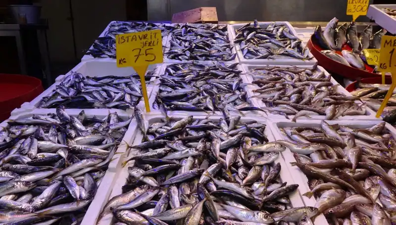 Balık Sezonu Kapanıyor: Fisherman'lar ve Tutkunları İçin Son Fırsatlar