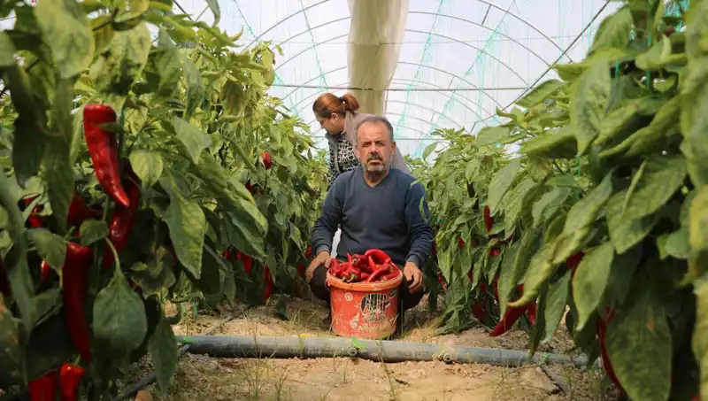 Fiyat Kırıcı Artış: 50 TL Olan Ürün, Şimdi 80 TL!