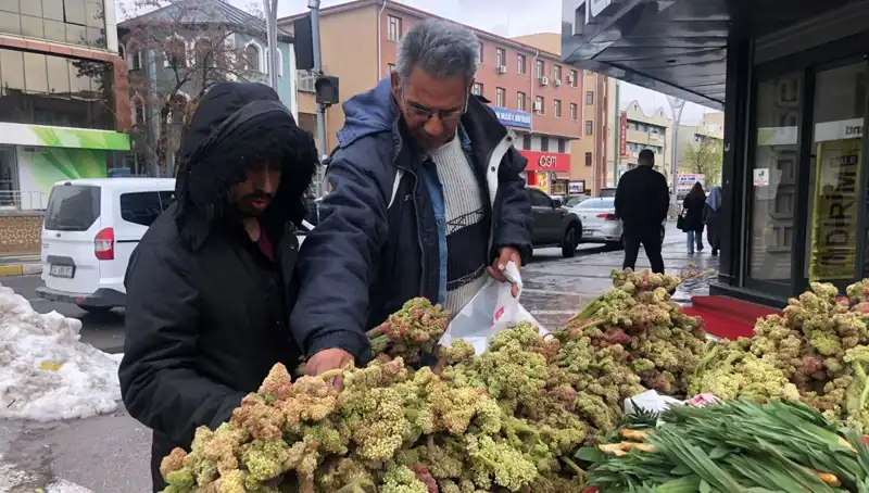 Kendiliğinden Yetişen Vitamin Deposuyla Tanışın: Kanserle Mücadelede Umut Vaat Ediyor