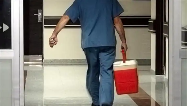 Organ Bağışı Artık Daha Kolay: e-Devlet ve e-Nabız İle Yeni Dönem Başladı