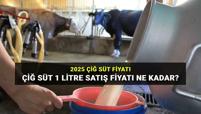 2025'te Çiğ Süt Fiyatları: Ulusal Süt Konseyi'nden Çarpıcı Veriler
