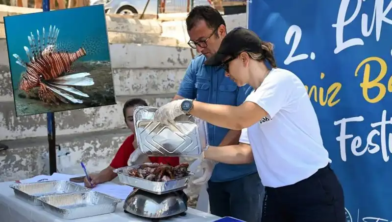 Antalya'da Balıkçılar Aslan Balığı Avlama Yarışmasında Buluşuyor!