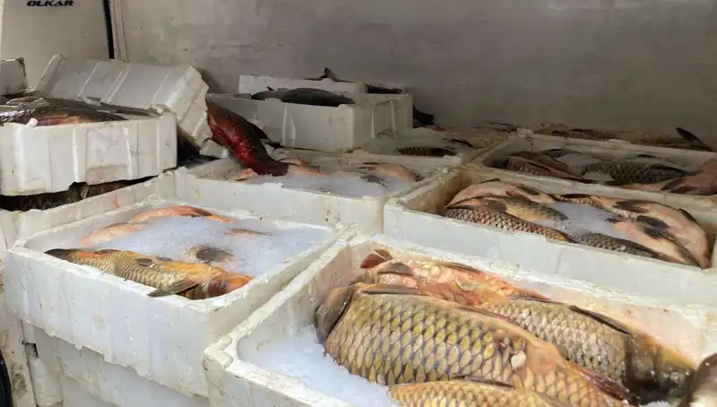 Kaçak Balık Avına Çıkanlara Çarpıcı Ceza: Binlerce Lira!