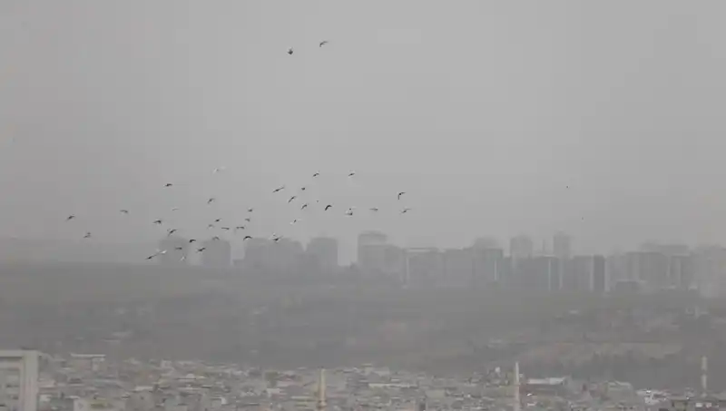 Şanlıurfa'da Toz Bulutu Alarmı: Görüş Mesafesi Düşüyor!